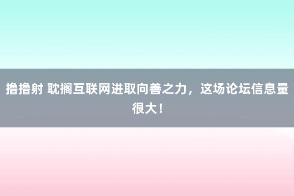 撸撸射 耽搁互联网进取向善之力，这场论坛信息量很大！