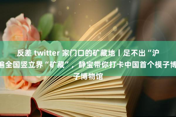 反差 twitter 家门口的矿藏地丨足不出“沪”看遍全国竖立界“矿藏”，静宝带你打卡中国首个模子博物馆