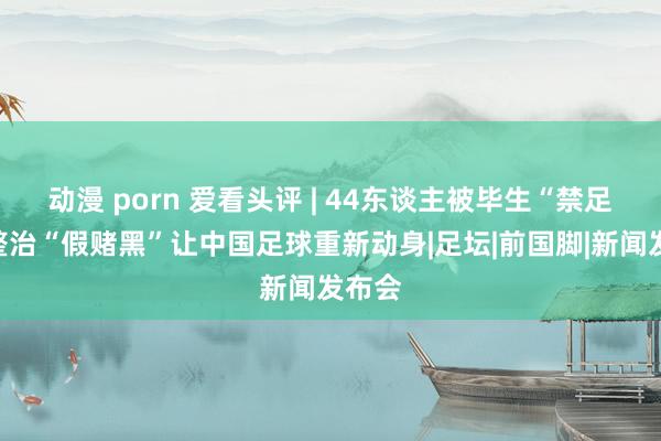 动漫 porn 爱看头评 | 44东谈主被毕生“禁足”，整治“假赌黑”让中国足球重新动身|足坛|前国脚|新闻发布会