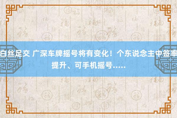 白丝足交 广深车牌摇号将有变化！个东说念主中签率提升、可手机摇号.....