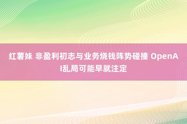 红薯妹 非盈利初志与业务烧钱阵势碰撞 OpenAI乱局可能早就注定