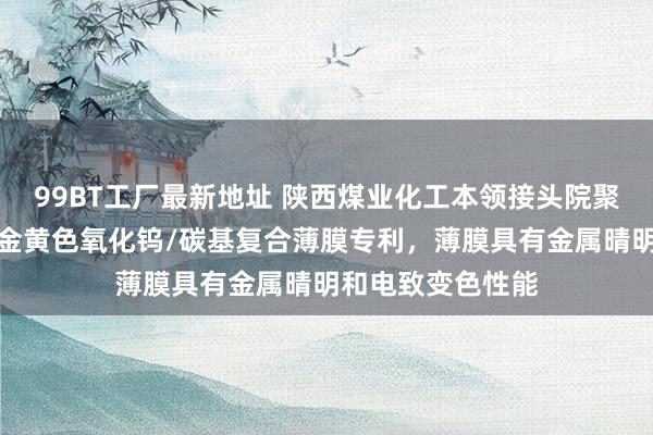 99BT工厂最新地址 陕西煤业化工本领接头院聚拢西安交大央求金黄色氧化钨/碳基复合薄膜专利，薄膜具有金属晴明和电致变色性能