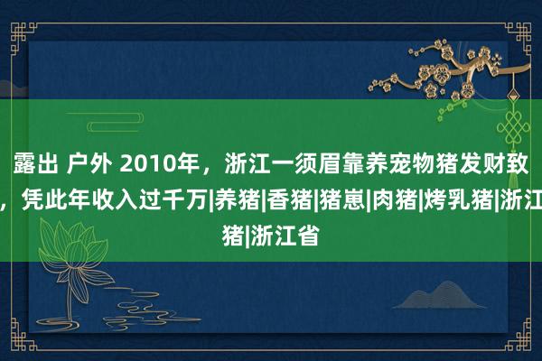 露出 户外 2010年，浙江一须眉靠养宠物猪发财致富，凭此年收入过千万|养猪|香猪|猪崽|肉猪|烤乳猪|浙江省