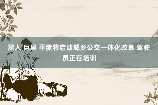 黑人 巨屌 平度将启动城乡公交一体化改良 驾驶员正在培训