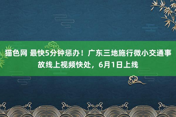 猫色网 最快5分钟惩办！广东三地施行微小交通事故线上视频快处，6月1日上线