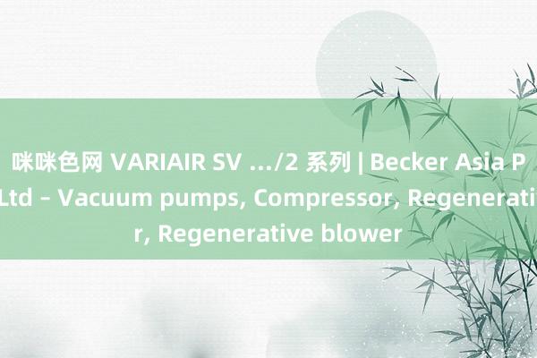 咪咪色网 VARIAIR SV .../2 系列 | Becker Asia Pacific Pte Ltd – Vacuum pumps， Compressor， Regenerative blower