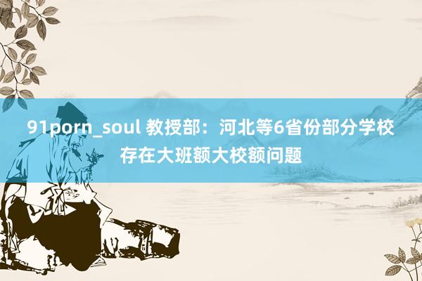 91porn_soul 教授部：河北等6省份部分学校存在大班额大校额问题